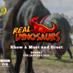 Real Dinosaurs Show & Meet and Greet this 5th of January 2025